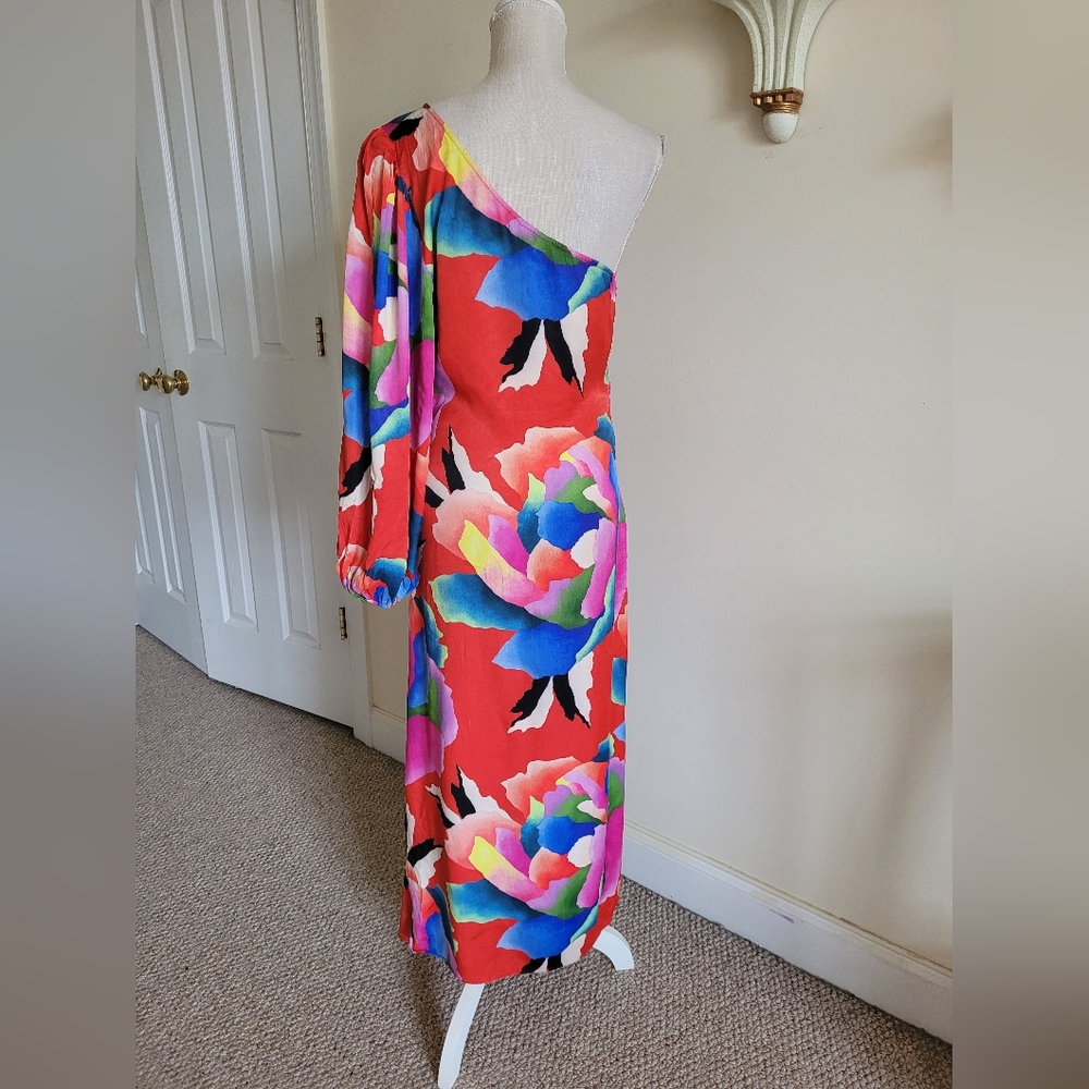 FARM Rio One-Shoulder Floral Midi Dress in Red with Multicolor Blooms - Picture 4 of 9